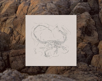 MB FOSSIL - fossilised velociraptor caught chasing a dragonfly illustration art print, by Vector That Fox