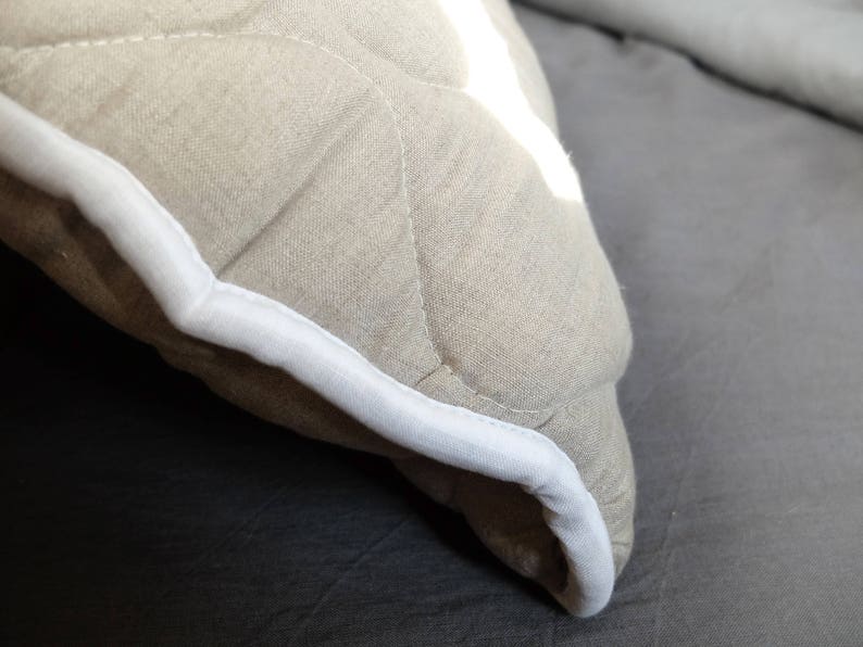 Organic Wool Pillow Set of 2, Linen Pillow, Organic Bedding