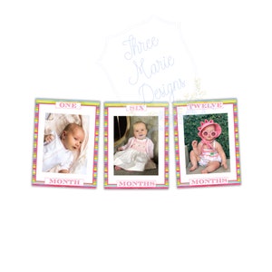 First Fiesta Monthly Photo Banner Printable | First Birthday Monthly Picture Banner | Instant Download | Cinco de Mayo Birthday Banner