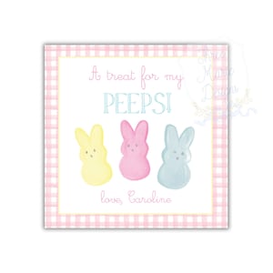 Rosa Aquarell Peeps Ostern Tag | Osterklasse Leckerli Karte | 3x3 Bearbeitbar | Klasse Ostergeschenk | Ostern Tag Printable | Pastell Peeps Anhänger