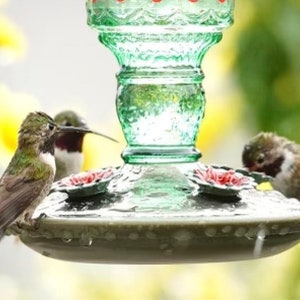 Vintage Style Glass Hummingbird Feeder | Garden Decor, Easy to clean, Copyrighted 2026 image 8