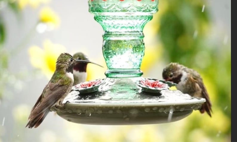 Vintage Style Glass Hummingbird Feeder | Garden Decor, Easy to clean, Copyrighted 2026 image 8