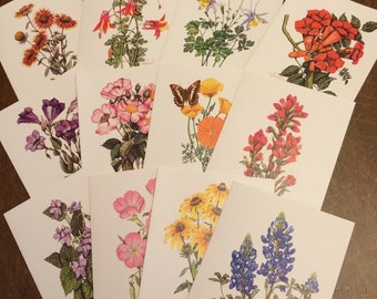 Wildflower Note Cards
