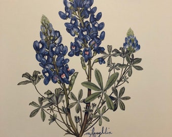 Texas Bluebonnet II