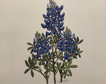 Texas Bluebonnet I