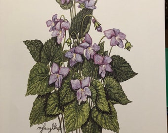 Wood Violet