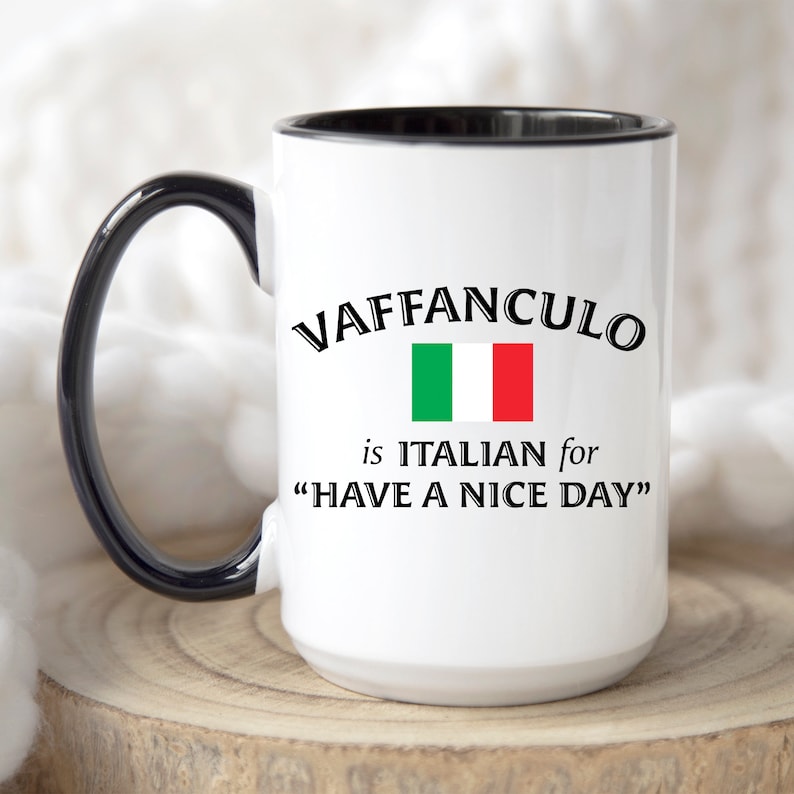 Vaffanculo Coffee Mugs Funny Swear Cup Gifts Sarcastic Italy Ceramic Mugs Italian Friend Birthday Italiano Profanity Have A Nice Day 165 Black Handle 15 oz