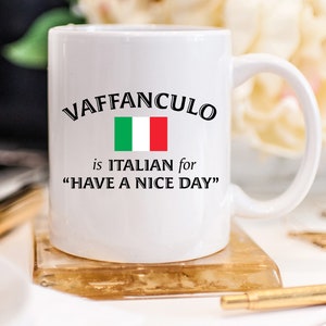 Vaffanculo Coffee Mugs Funny Swear Cup Gifts Sarcastic Italy Ceramic Mugs Italian Friend Birthday Italiano Profanity Have A Nice Day 165 image 5