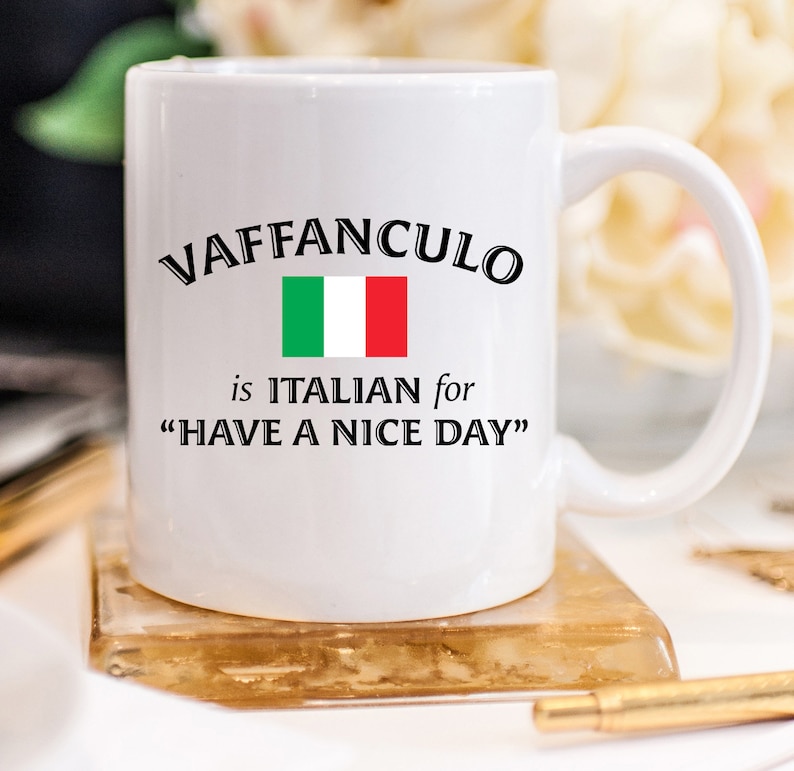 Vaffanculo Coffee Mugs Funny Swear Cup Gifts Sarcastic Italy Ceramic Mugs Italian Friend Birthday Italiano Profanity Have A Nice Day 165 image 5