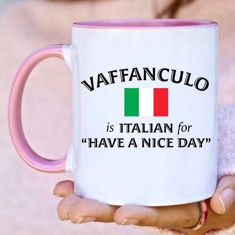 Vaffanculo Coffee Mugs Funny Swear Cup Gifts Sarcastic Italy Ceramic Mugs Italian Friend Birthday Italiano Profanity Have A Nice Day 165 Pink Handle 11 oz