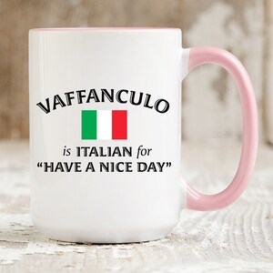 Vaffanculo Coffee Mugs Funny Swear Cup Gifts Sarcastic Italy Ceramic Mugs Italian Friend Birthday Italiano Profanity Have A Nice Day 165 Pink Handle 15 oz