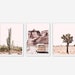 Set of 3,Digital Download,Wall Art,Cactus Print,Desert,Printable,Printable Art,Arizona Print,Boho Wall Art,Desert Cactus,Wall Decor