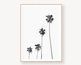 Featured image of post Simple Palm Tree Drawing Black And White All the best simple drawing of a palm tree 30 collected on this page