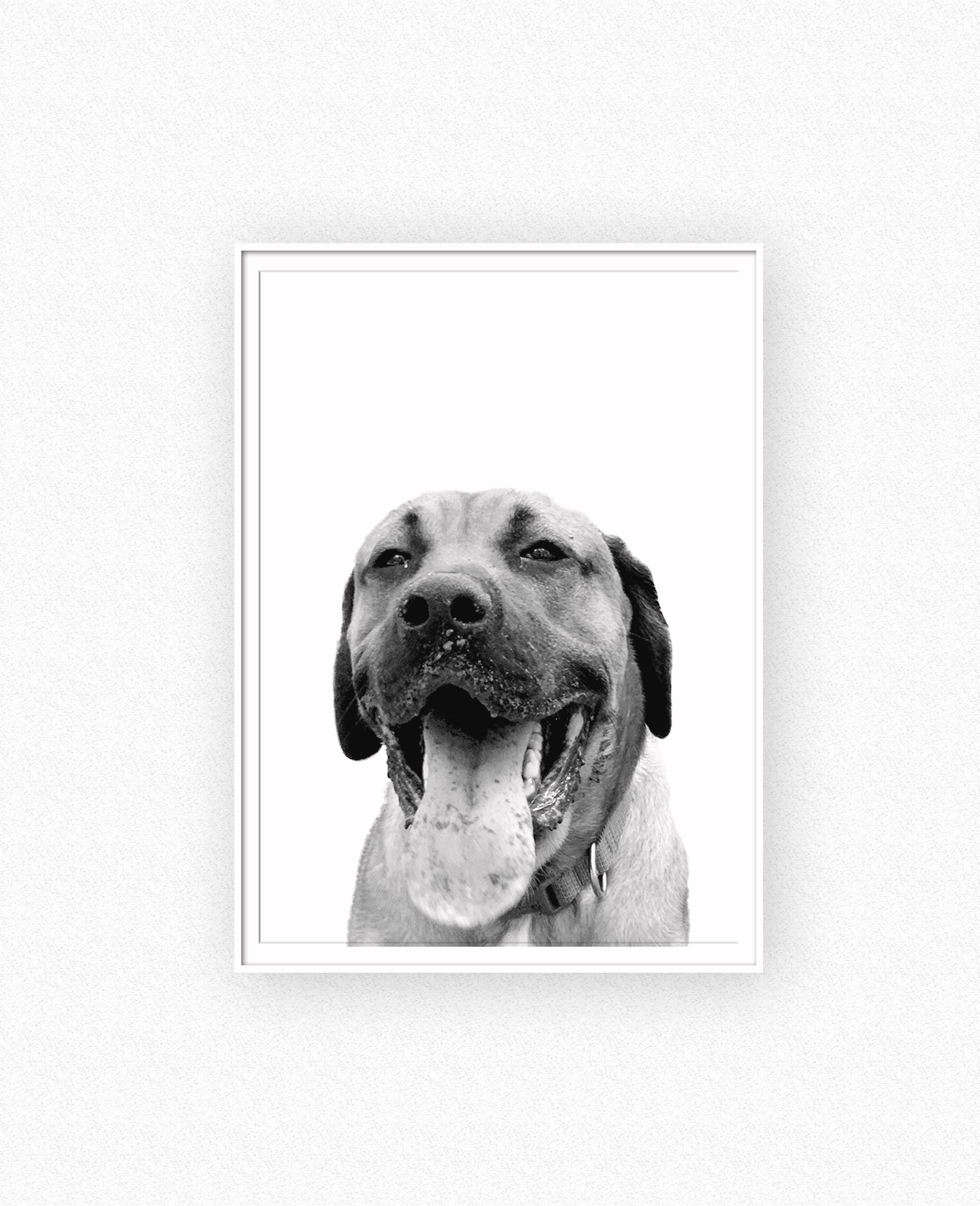 Custom Order PrintDog PrintDog PhotoDog Printable ArtDog | Etsy