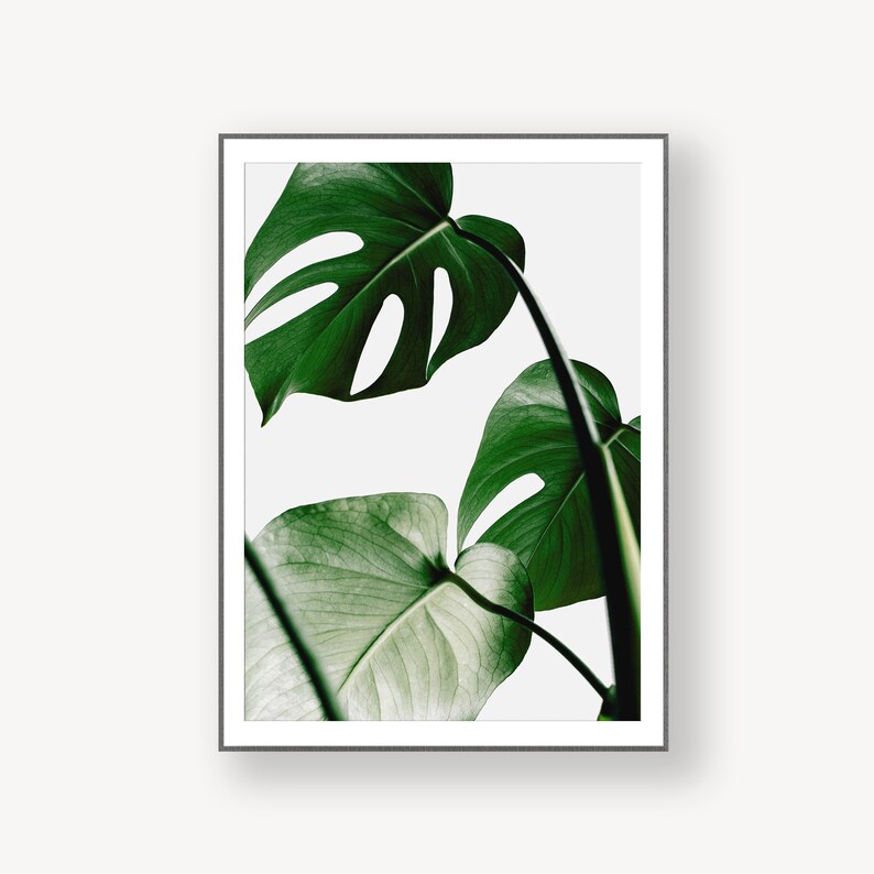 Leaf Print Plant Prints Printable Wall Art Botanical Print | Etsy