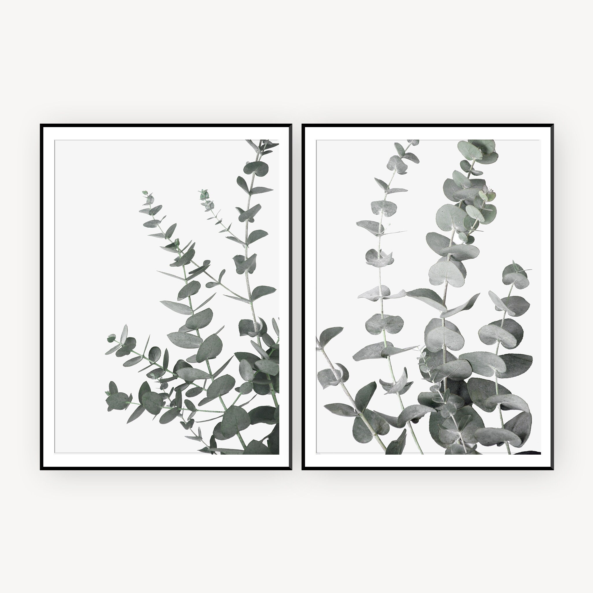 Set of 2 Prints Eucalyptus Prints Botanical Wall Art Prints | Etsy