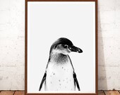 Penguin Print, Nursery Animal Wall Art, Black and White Animal, Penguin Digital Poster, Nursery Animal, Penguin Wall Art, Funny Animal Art