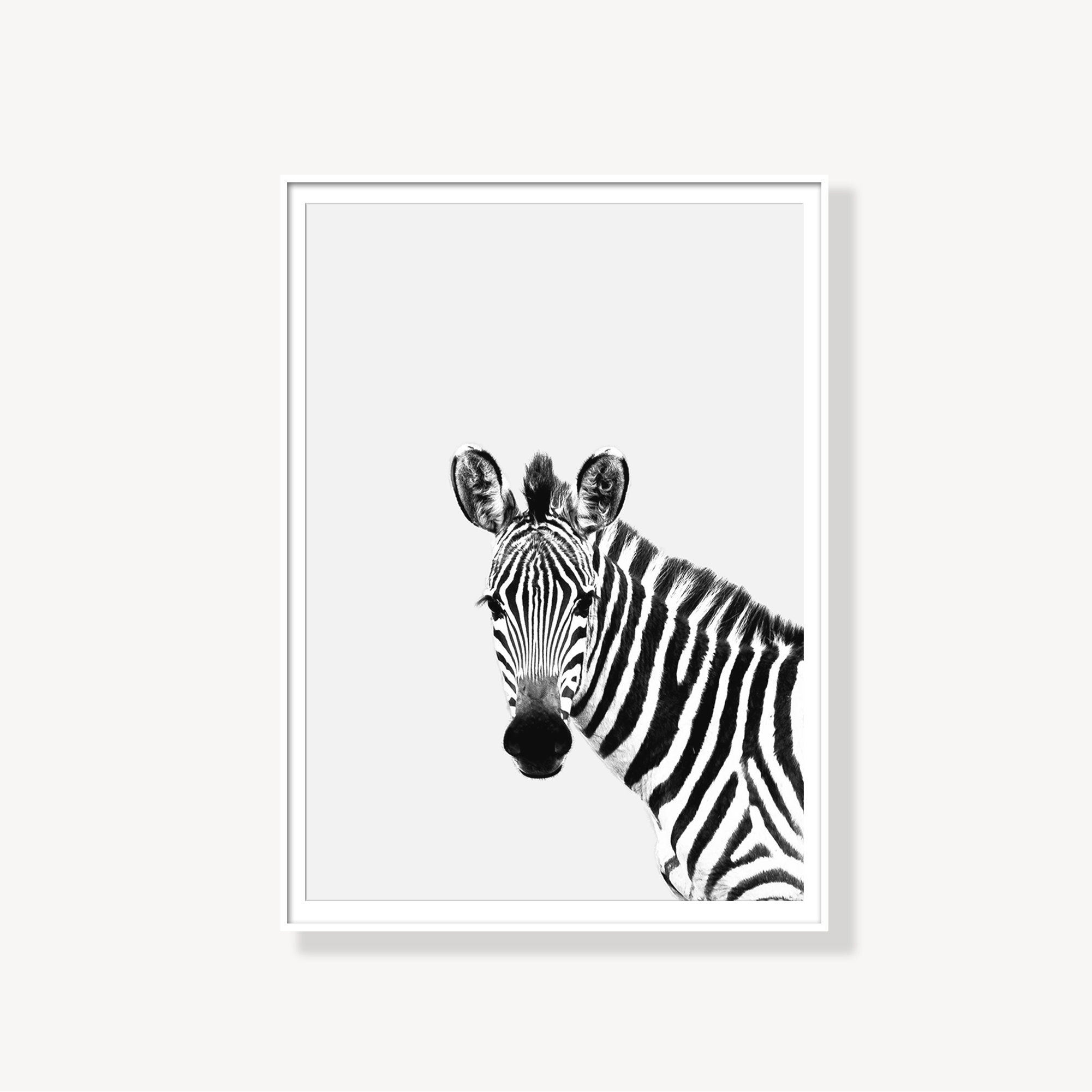 Zebra Print Zebra Prints Zebra Printable Art Zebra Etsy