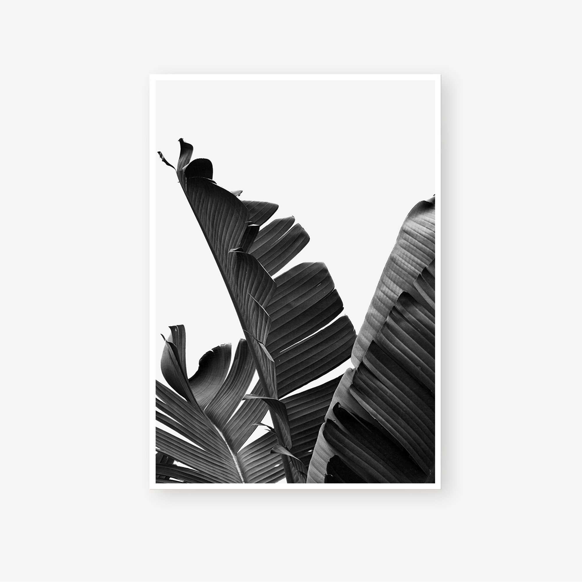 Black and White Print Set of 2 Tropical Art Leaf Prints | Etsy