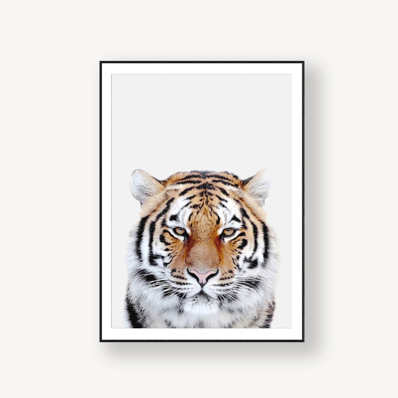 Tiger Art Safari Nursery Tiger Wall Art Nursery Wall Art Nursery Decor Tiger Print Safari Print Tiger Poster Nursery Animal Wall Art