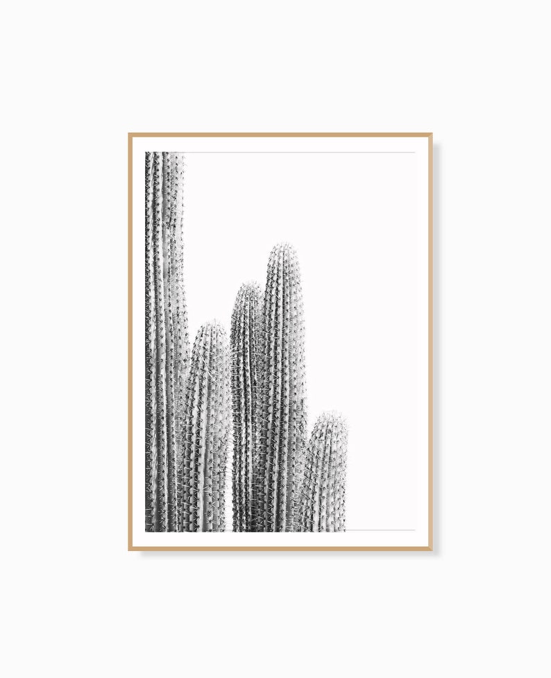Cactus Print Cactus Plant Cactus Wall Art Cactus Decor Etsy