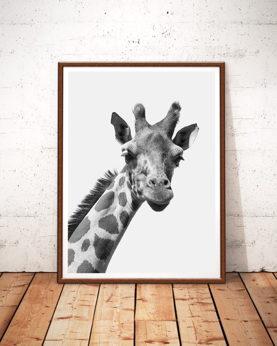 Giraffe Print Giraffe Art Animal Print Safari Nursery Etsy