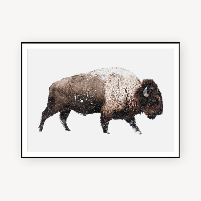 Bison Wall Decor Bison Animal Poster Print Bison Poster Print Large Wall Art Print Bison Print Bison Digital Prints Buffalo Wall Art