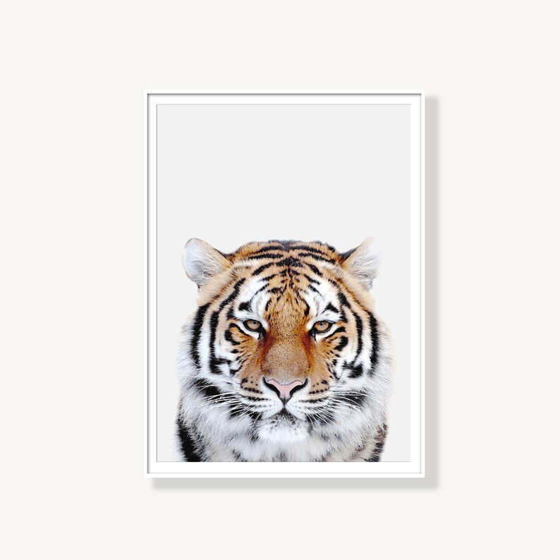 Tiger Art Safari Nursery Tiger Wall Art Nursery Wall Art Nursery Decor Tiger Print Safari Print Tiger Poster Nursery Animal Wall Art