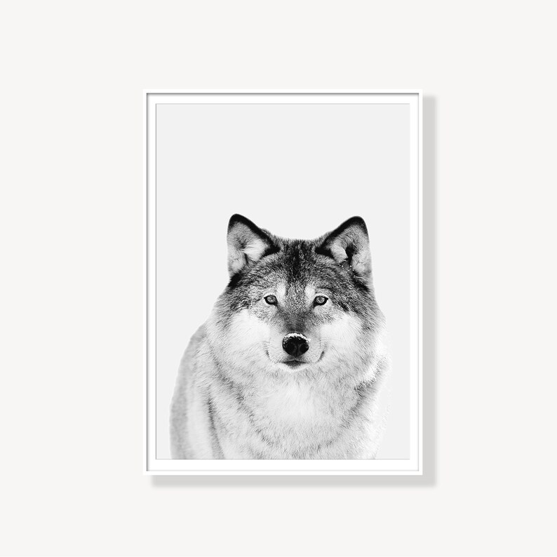 Wolf Print Forest Animal Woodlands Nursery Animal Wall Art | Etsy