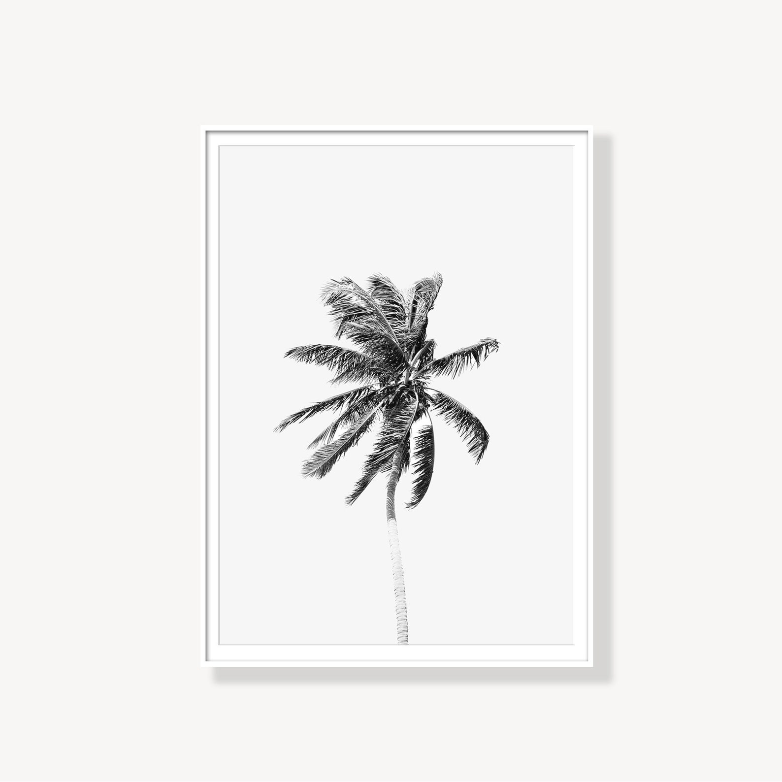 Palm Print Black and White Palm Decor Palm Tree Art Palm Etsy