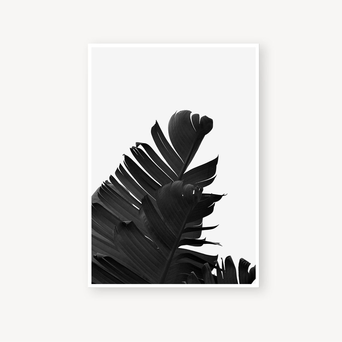 Black White Prints Set of 3 Minimalist Art Tropical Leaves Etsy