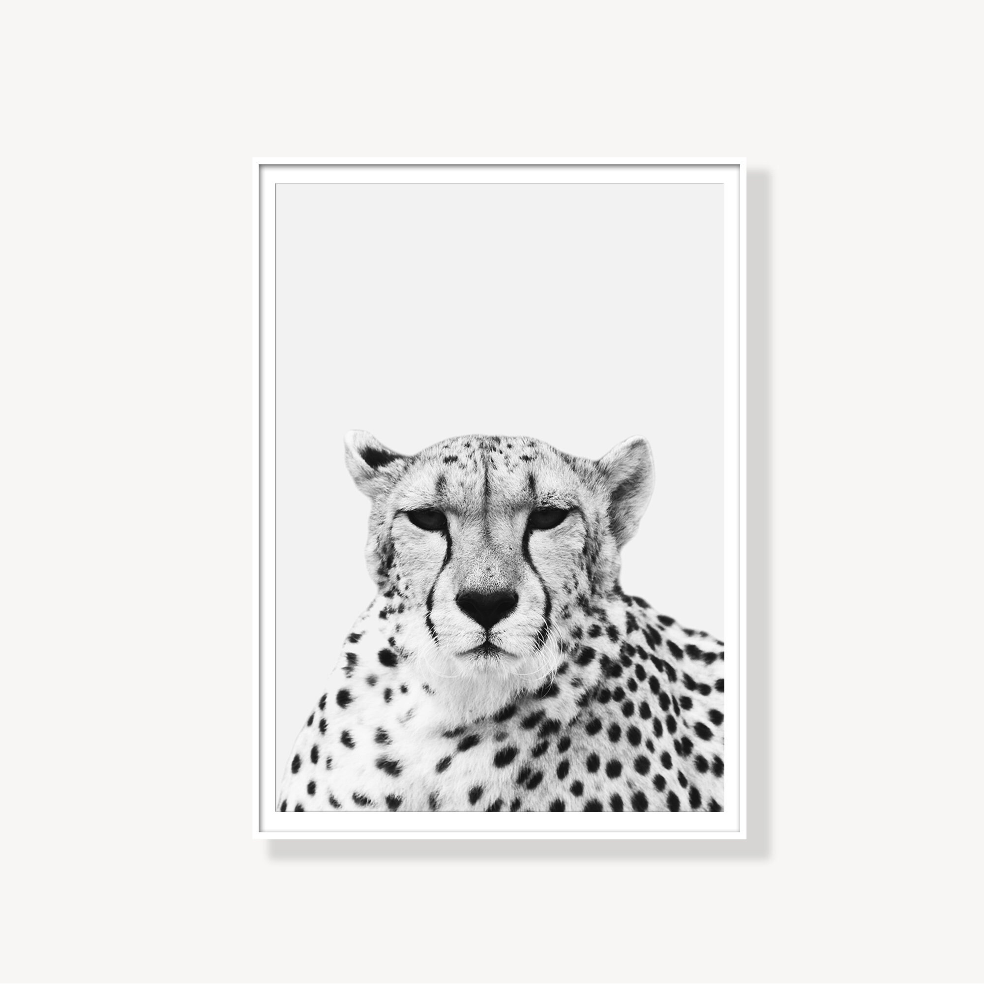 Cheetah Print Art Cheetah Photo Print Instant Download Etsy