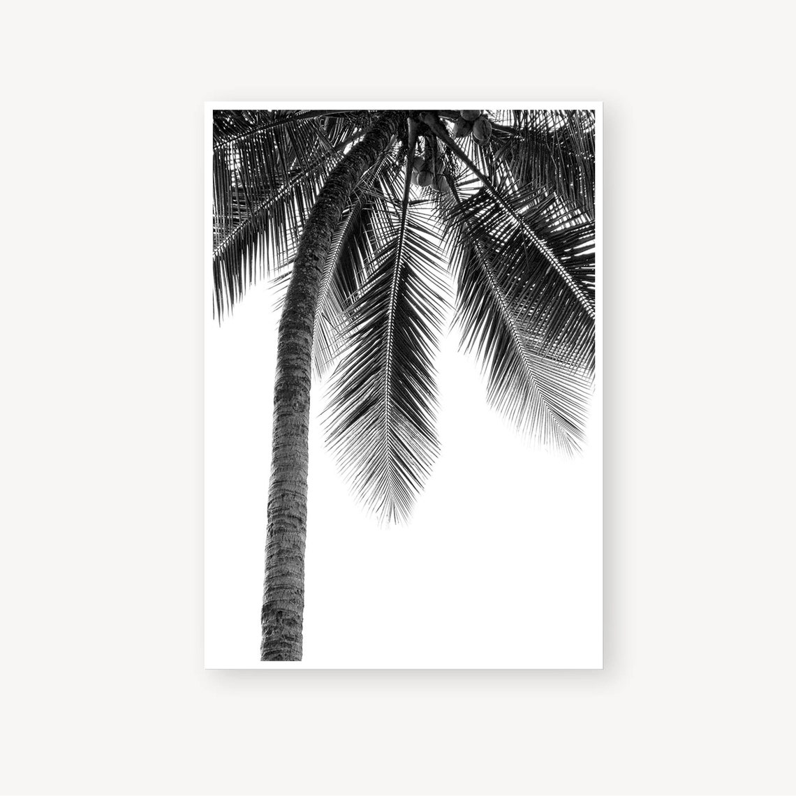 Palm Tree Prints Set of 3 Prints Digital Download Wall Art Etsy