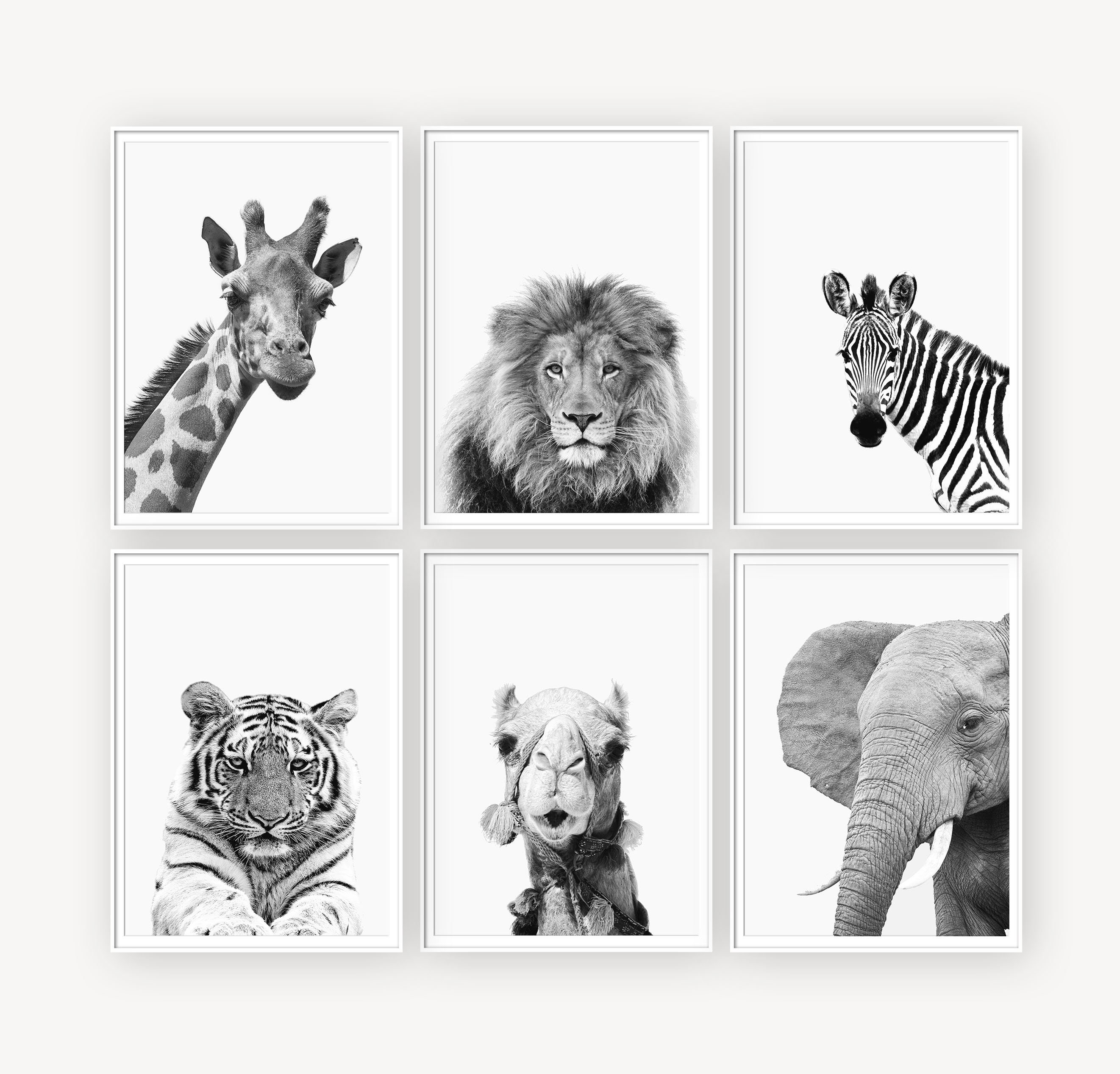 Nursery Print Set Animal Prints Set of 6 Prints Wall Art Etsy