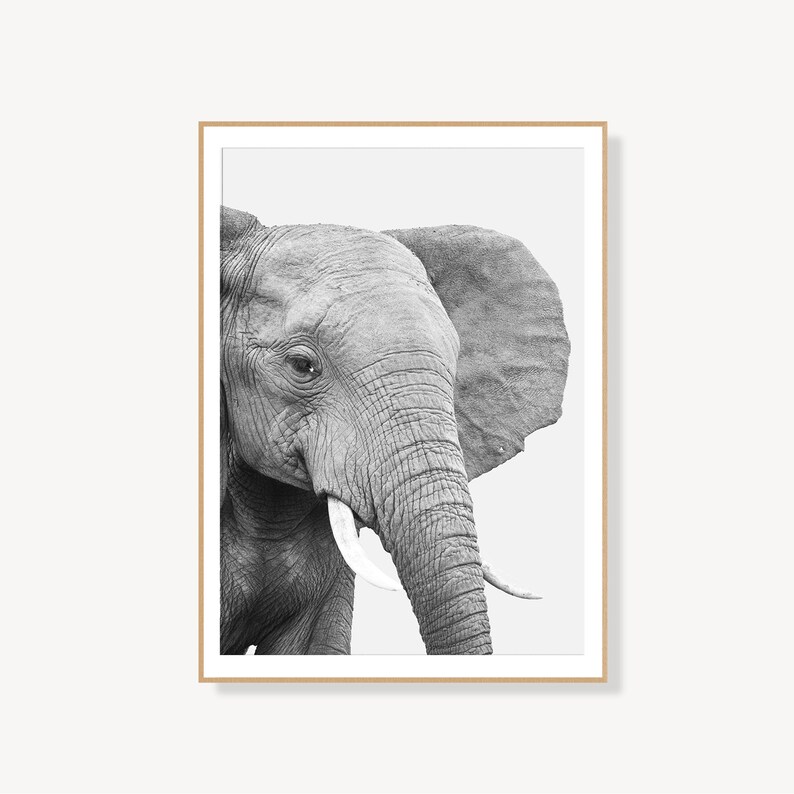 Elephant Print Elephant Nursery Decor Elephant Animal Print Etsy