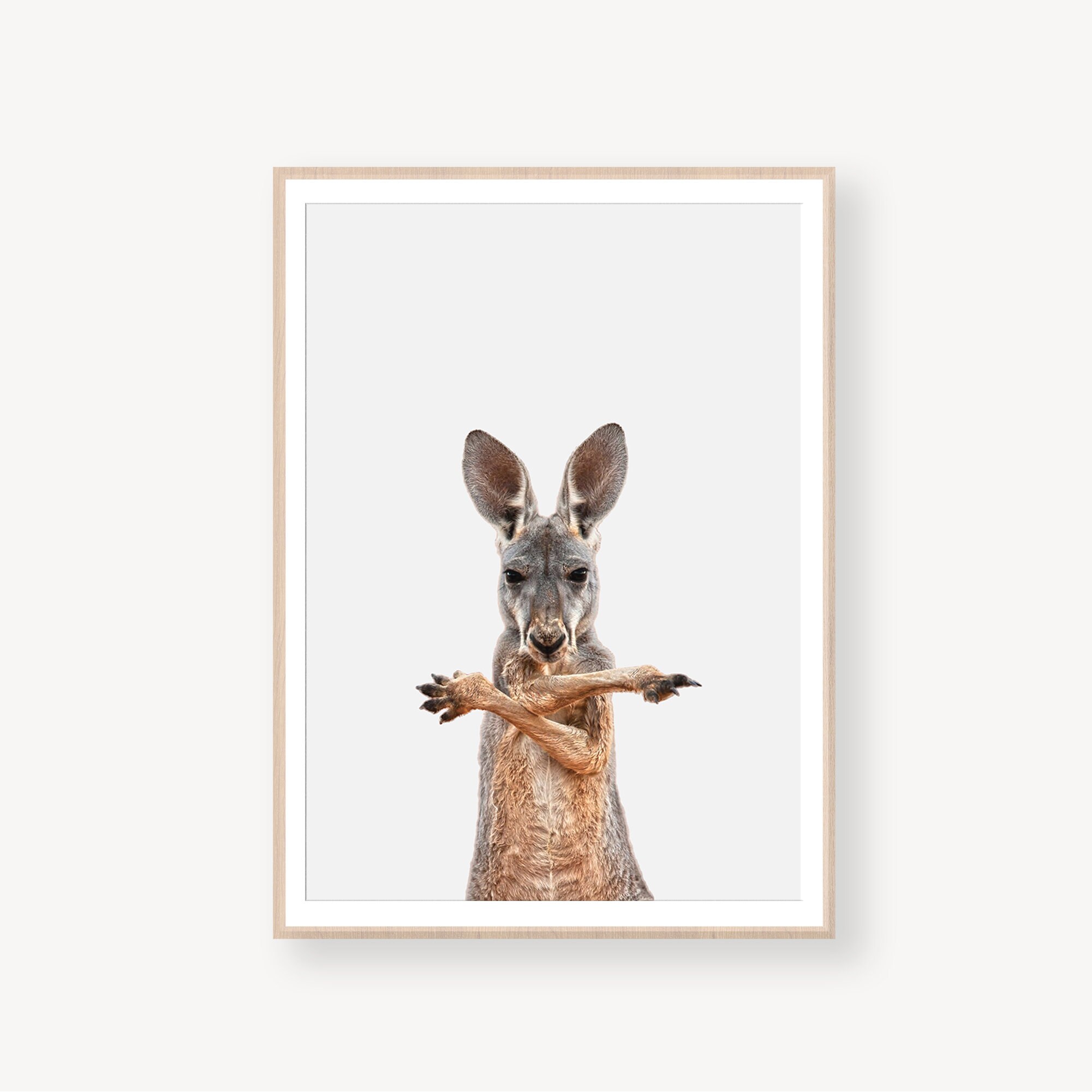 pic Childrens Wall Art Australia animal wall art nursery wall art