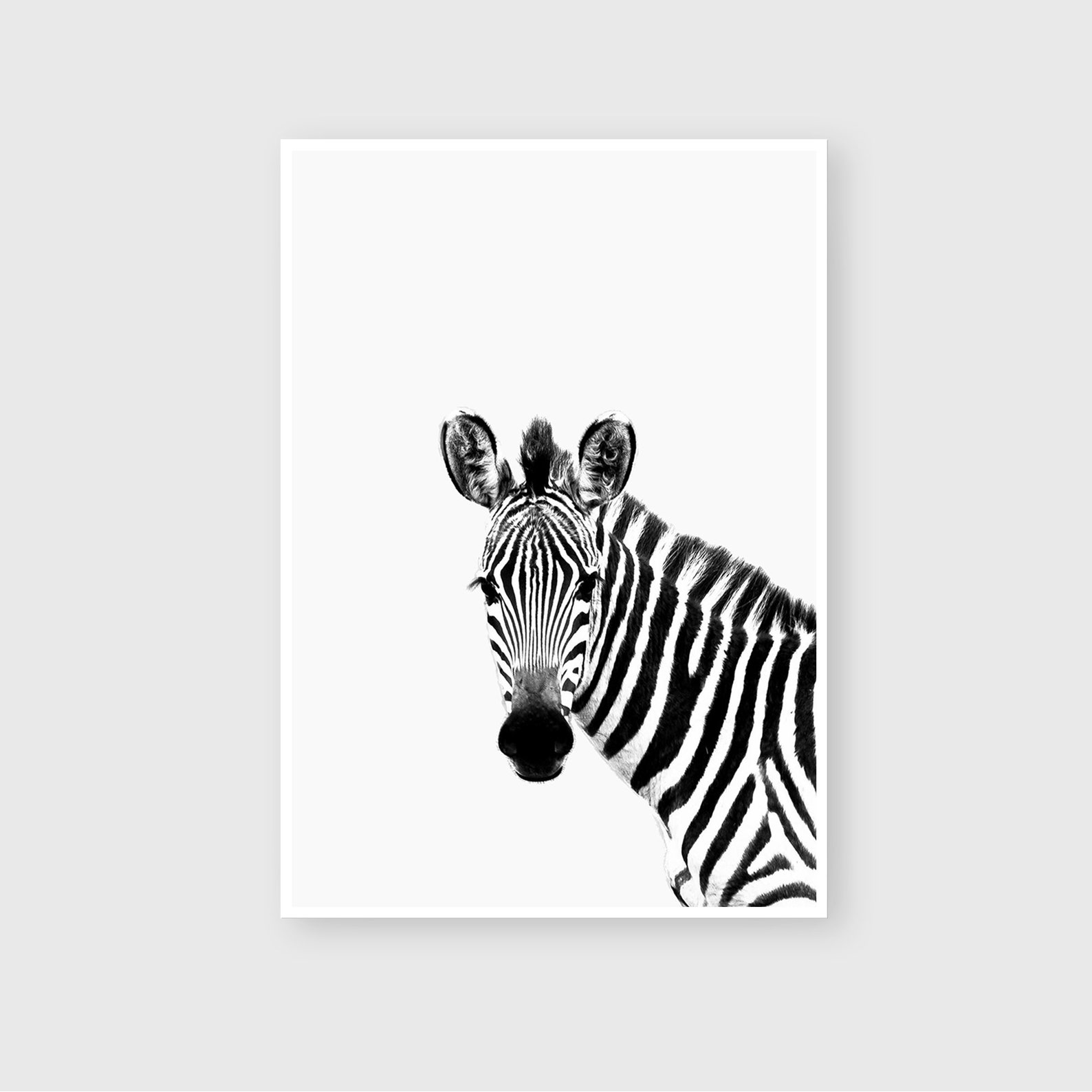 Nursery Print Set Animal Prints Set of 6 Prints Wall Art Etsy
