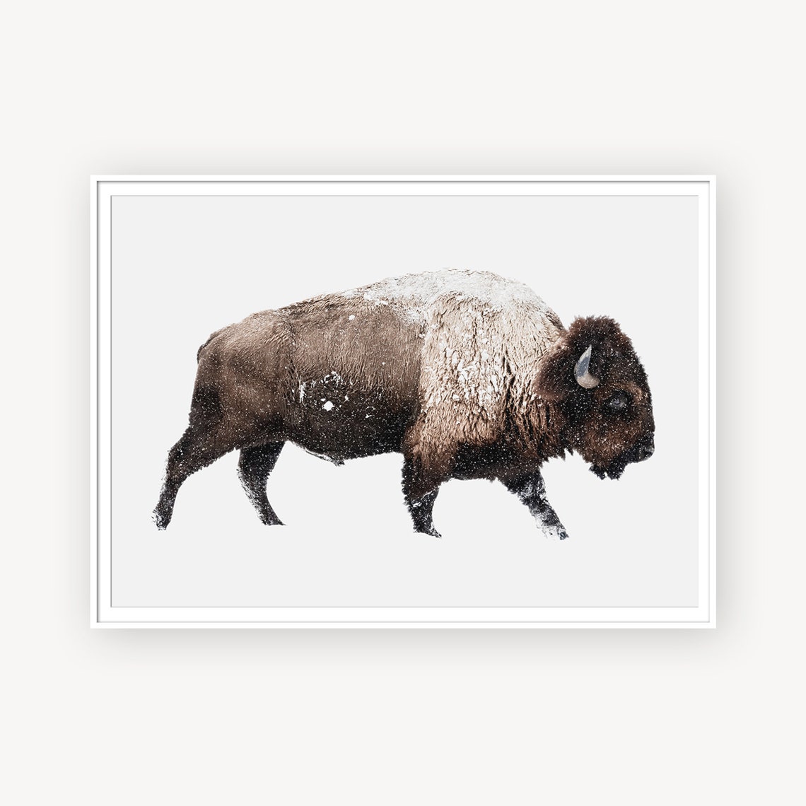 Bison Print Animal Poster Print Large Wall Art Print Bison | Etsy