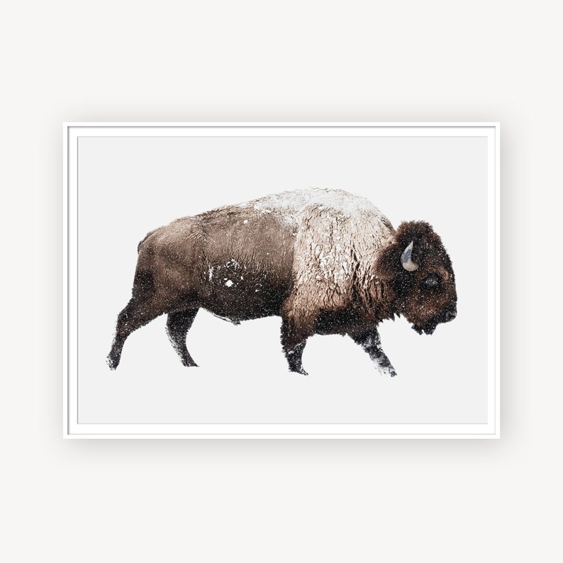 Bison Wall Decor Bison Animal Poster Print Bison Poster Print Large Wall Art Print Bison Print Bison Digital Prints Buffalo Wall Art