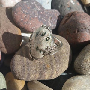 8-29 Ocean Jasper Ring set in .950 Sterling Silver with Star Fish Decorations Size 8 image 4