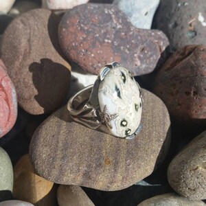 May include: A silver ring featuring a white and black agate stone set in a claw setting. The stone has a distinctive pattern of black and white swirls.