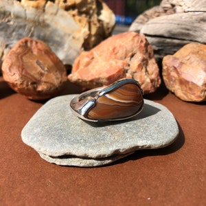 May include: A silver ring with a brown agate stone set in a unique, curved design.