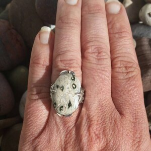 May include: A silver ring featuring a white and black stone set in a silver setting. The stone has a swirling pattern and black spots.
