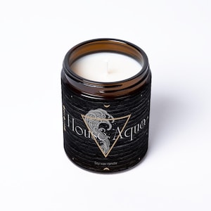 House Aqua / Zodiac Academy / OFFICIALLY LICENSED / Bookish candle / Bookish gift for readers / Bookish place / Book themed candle