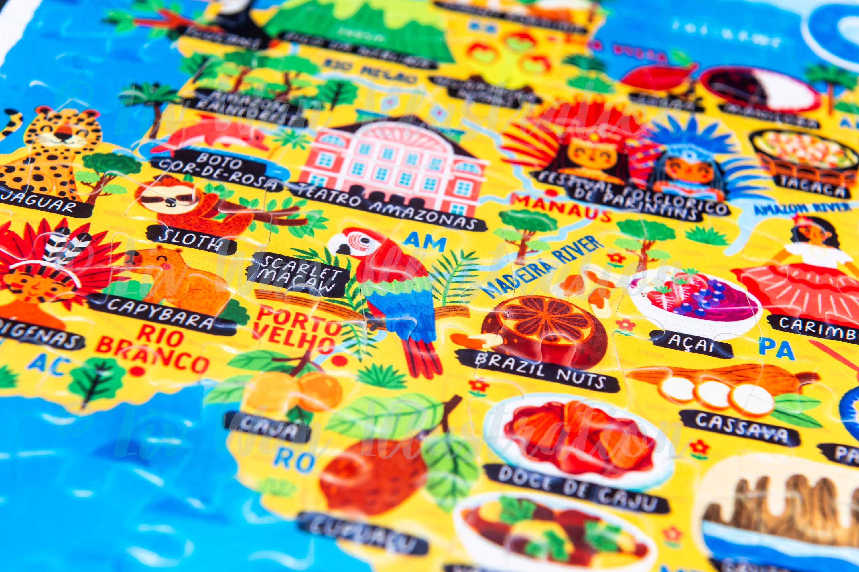 Brazil Map Puzzle - Map of Brazil - Brazil Map - Puzzle Gift ...
