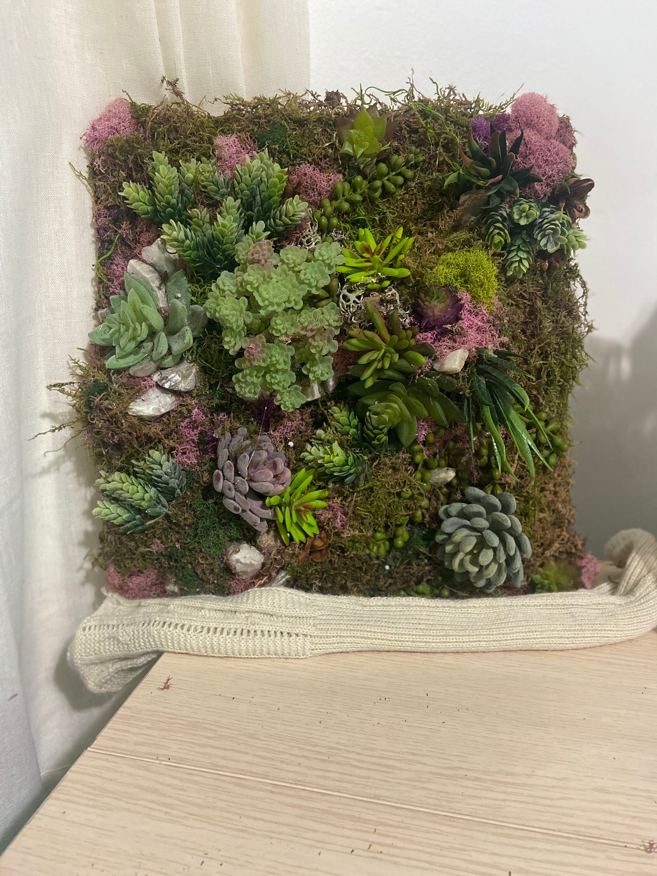 Preserved moss and artificial succulents Etsy