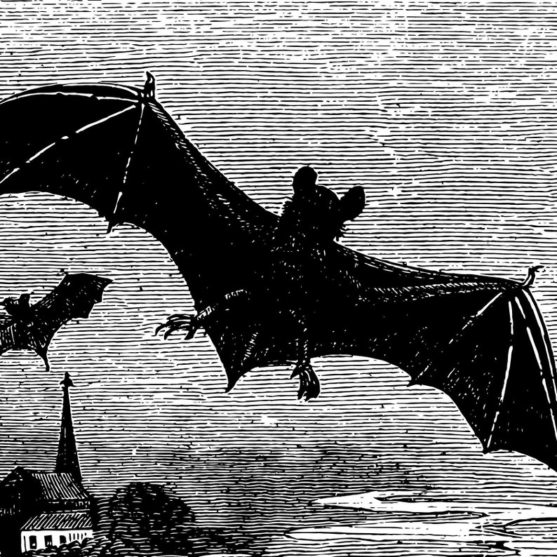 PRINTABLE Vintage Bat Print Scary Victorian Wall Art /// Etsy