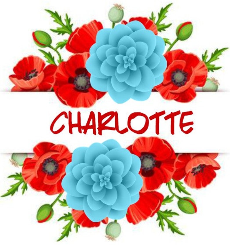 turquoise and red floral skirt Girls Birthday outfit personalized shirt poppy outfit 1st birthday party Girl First Birthday smash cake