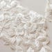 see more listings in the Lace Trims section