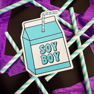 SOY BOY Magnet - Vegan Pride - retro milk carton thin magnetic refrigerator decal - meme soya Anti Dairy Club fem femboy masc LGBTQ Power Co